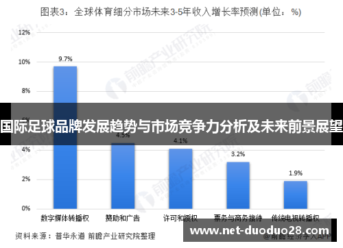 国际足球品牌发展趋势与市场竞争力分析及未来前景展望