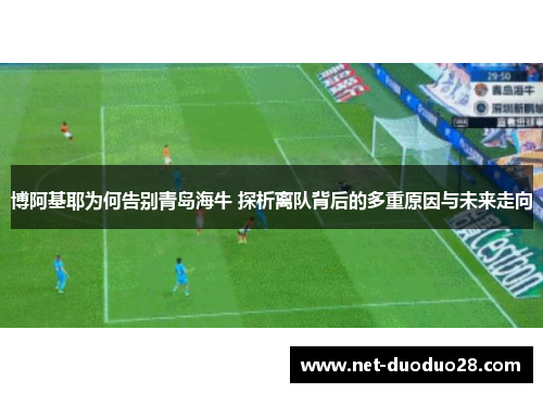 博阿基耶为何告别青岛海牛 探析离队背后的多重原因与未来走向