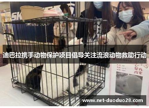 迪巴拉携手动物保护项目倡导关注流浪动物救助行动