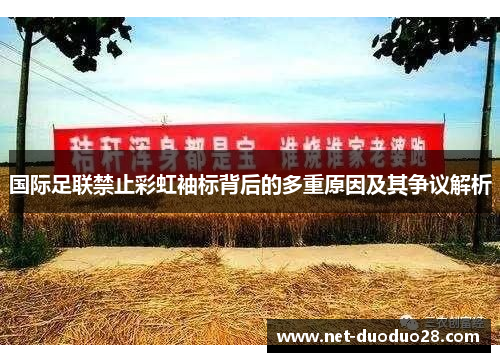 国际足联禁止彩虹袖标背后的多重原因及其争议解析